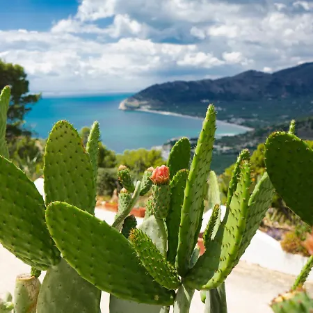 Casa Molo 13 Holiday home *